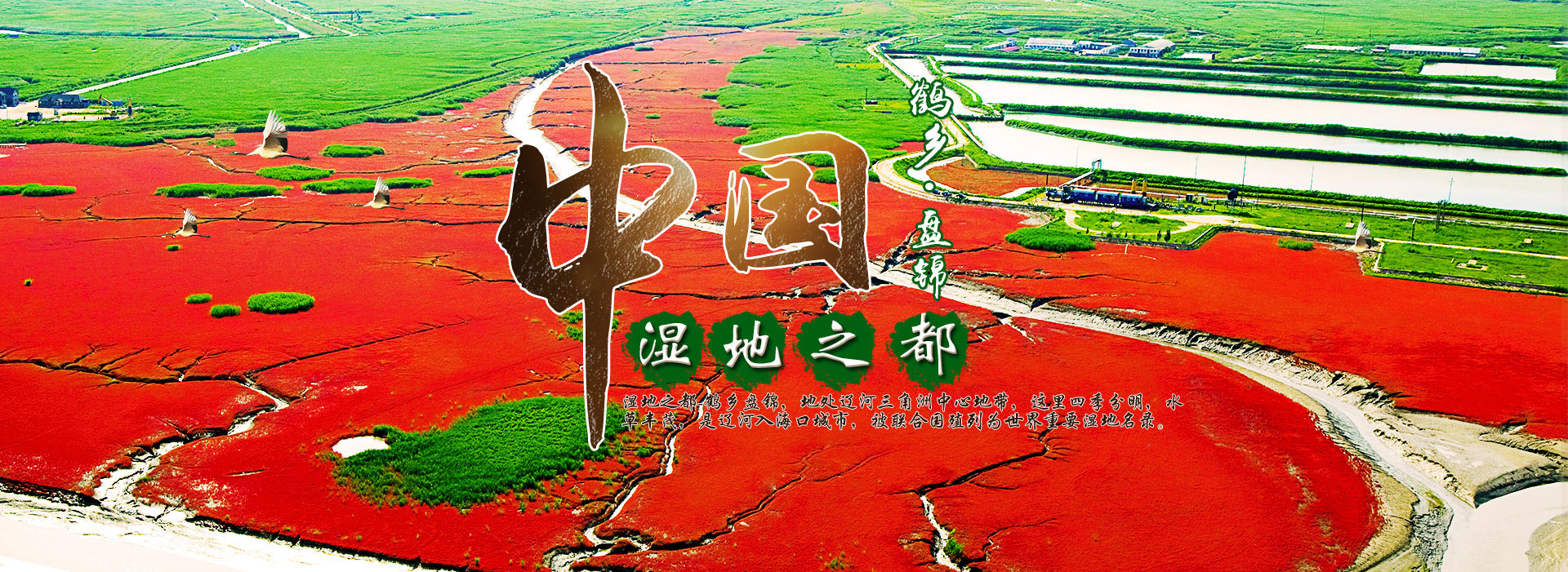 沼氣工程設(shè)備
